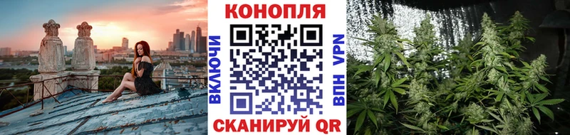 Конопля Боровичи