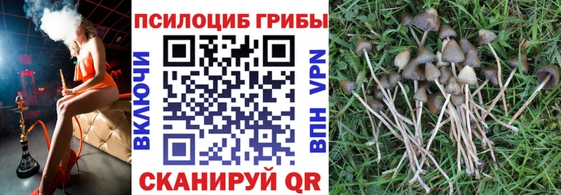 Псилоцибиновые грибы ЛСД  Боровичи 